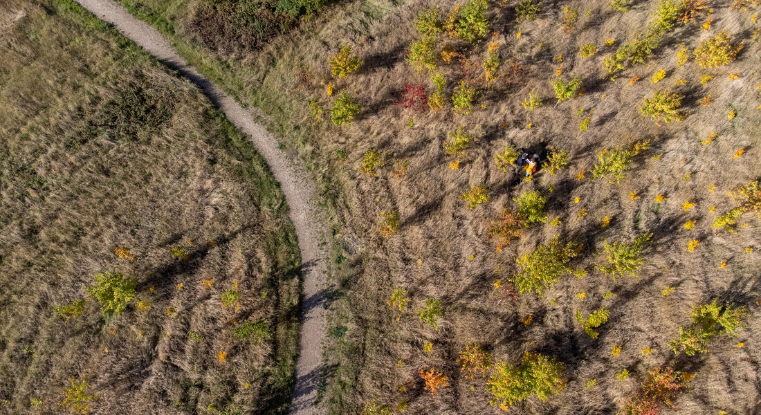 Photo: Kent Pørksen